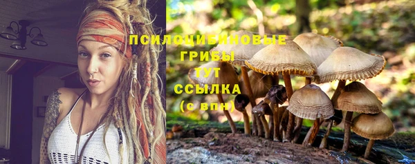 mdpv Новодвинск
