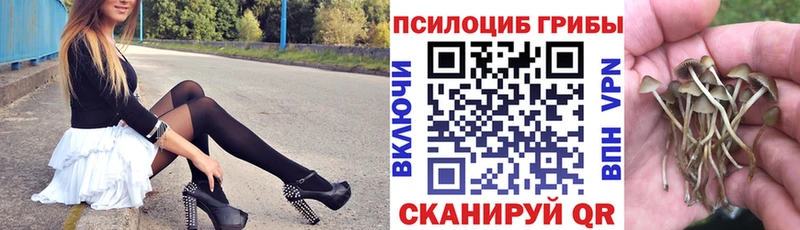 Галлюциногенные грибы прущие грибы  OMG рабочий сайт  Опочка 